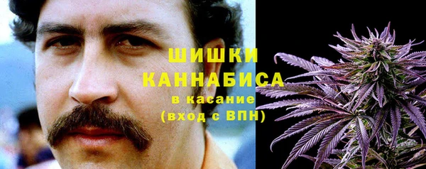 эйфоретик Арсеньев