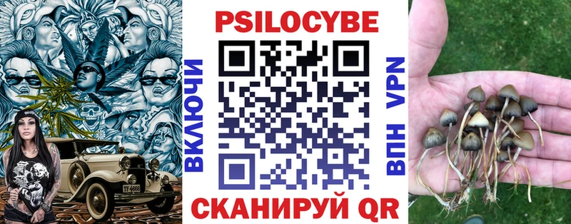 omg Никольское Псилоцибиновые грибы MAGIC MUSHROOMS как найти